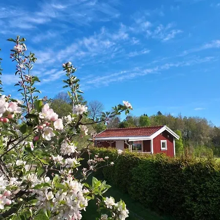 Aelgbergets Bed & Breakfast-3